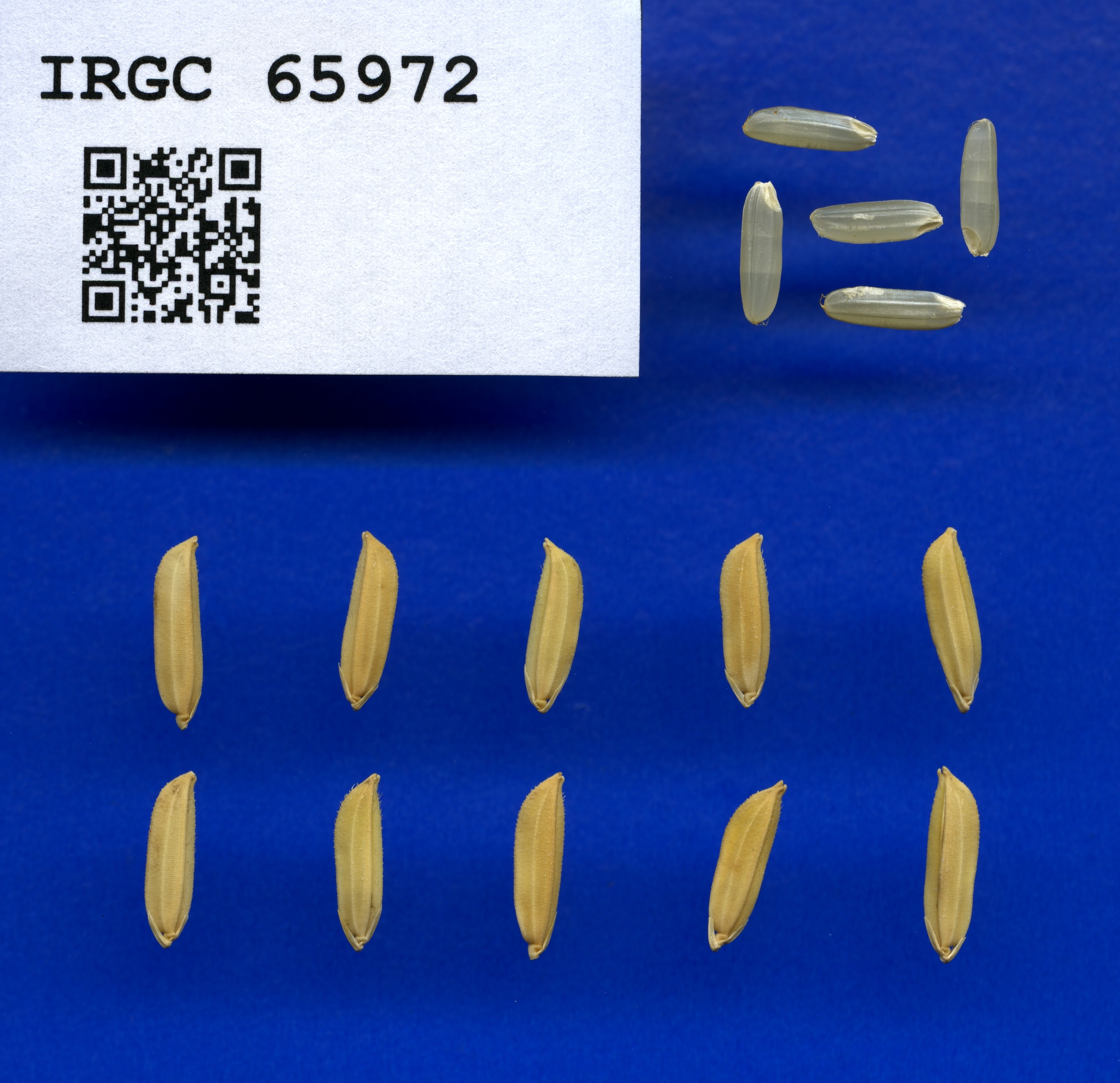 1c49f78d-c41a-4529-b659-35380ebca069.jpg